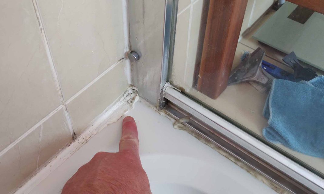 how-to-get-rid-of-black-mold-anywhere-in-your-shower-in-2021-black